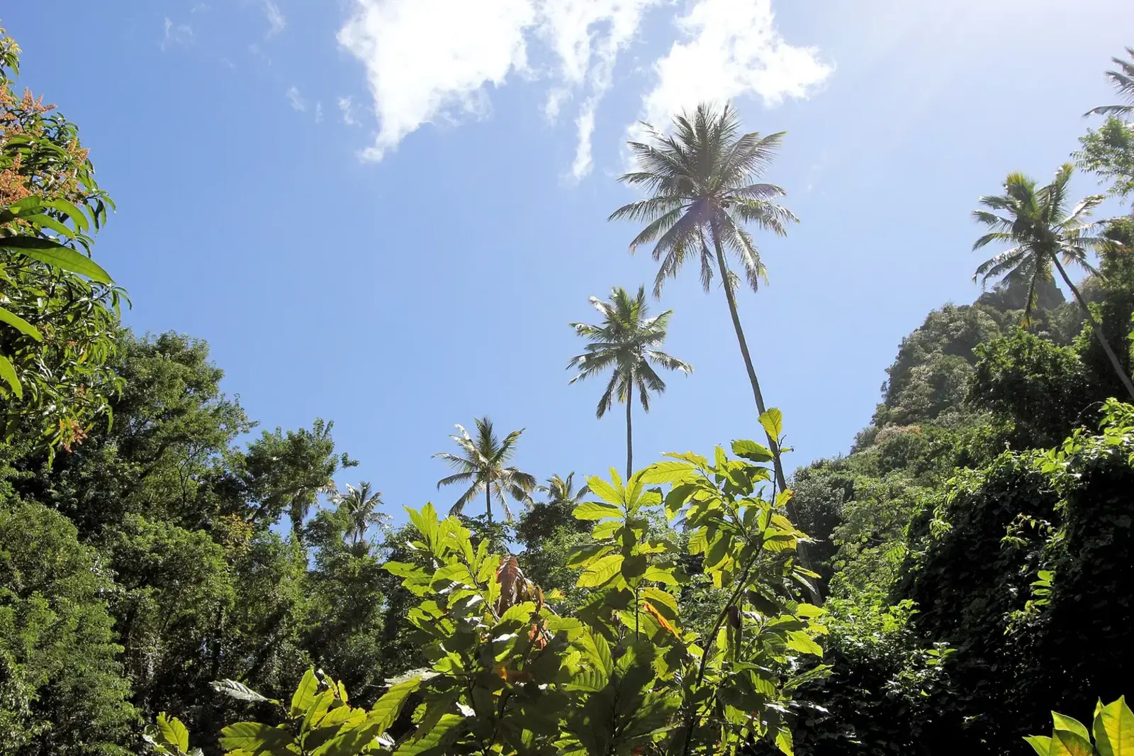 A quiet cove on the leeward coast of St. Lucia.